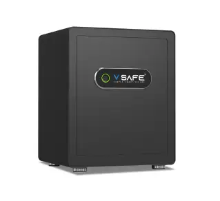 V SAFE Pro smart locker — document storage safe India